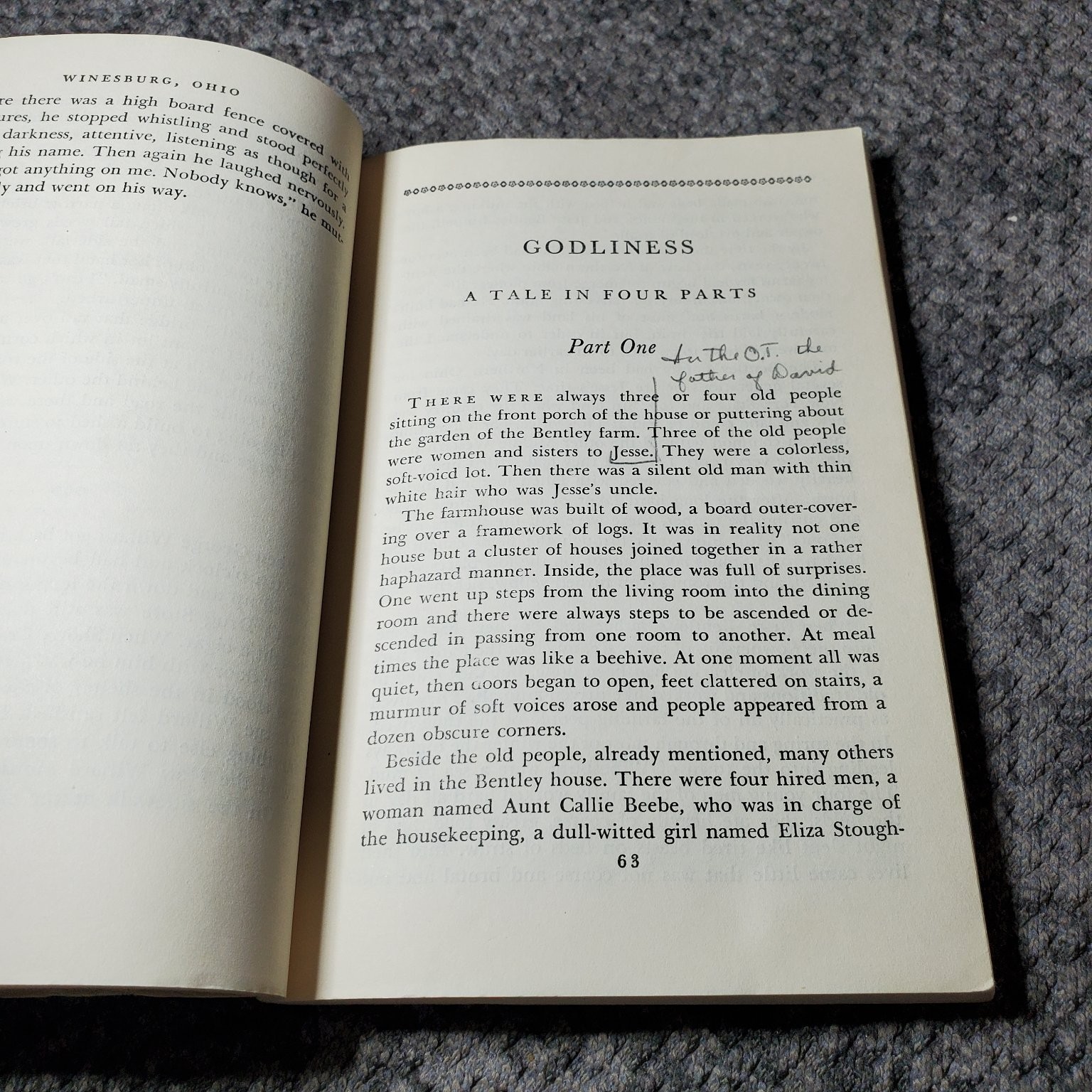 Winesburg, Ohio Sherwood Anderson 1962 Compass Books Edition Viking Press
