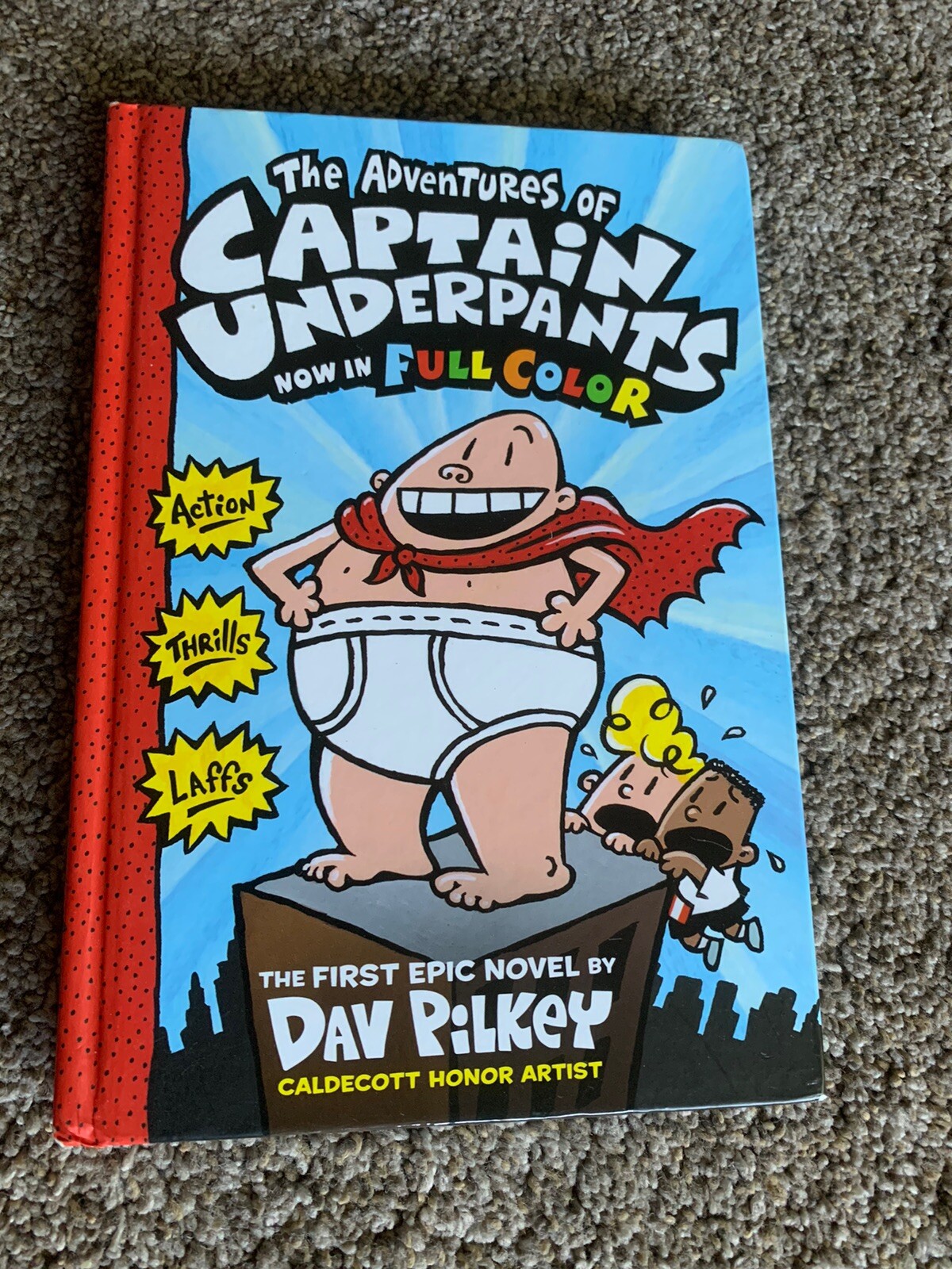 Chapter Books-Wimpy Kid-Dog Man-Cat Kid-Captain Underpants Lot Of 13 HB & PB