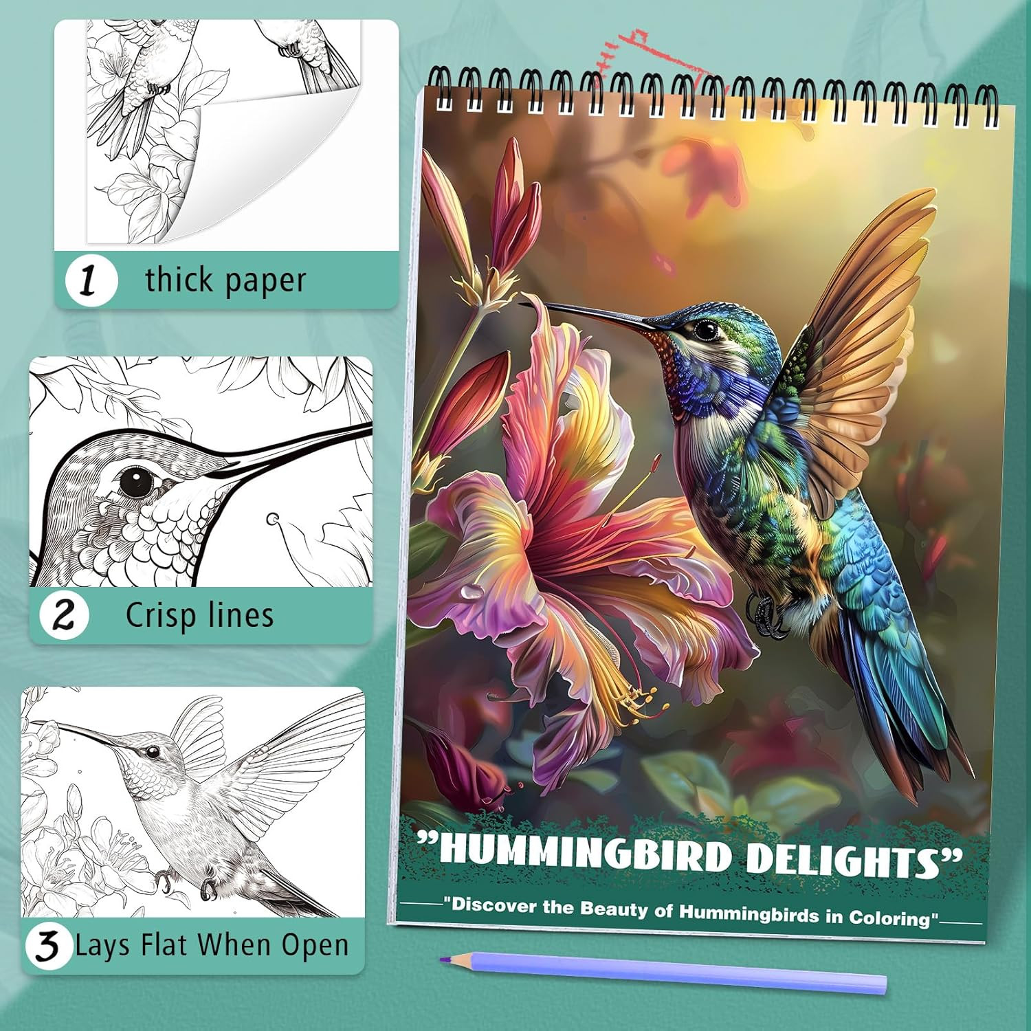 Humming Bird Adult Coloring Book Spiral Bound Mindfulness Adult Coloring Book…