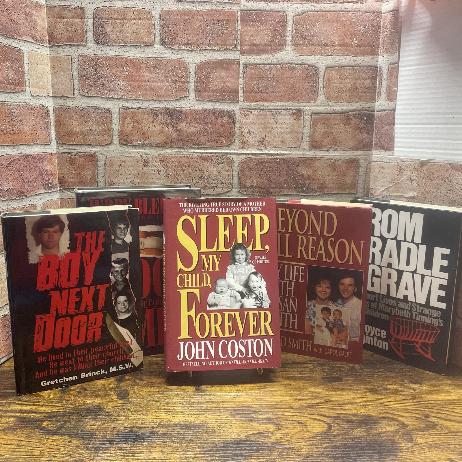 TRUE CRIME Book Lot of 5 Serial Killers Murder Sleep My Child The Boy Next Door