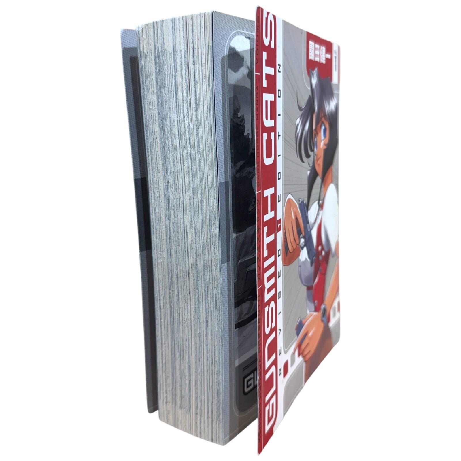 Gunsmith Cats Revised Edition Volume 1 Dark Horse Manga Graphic Novel
