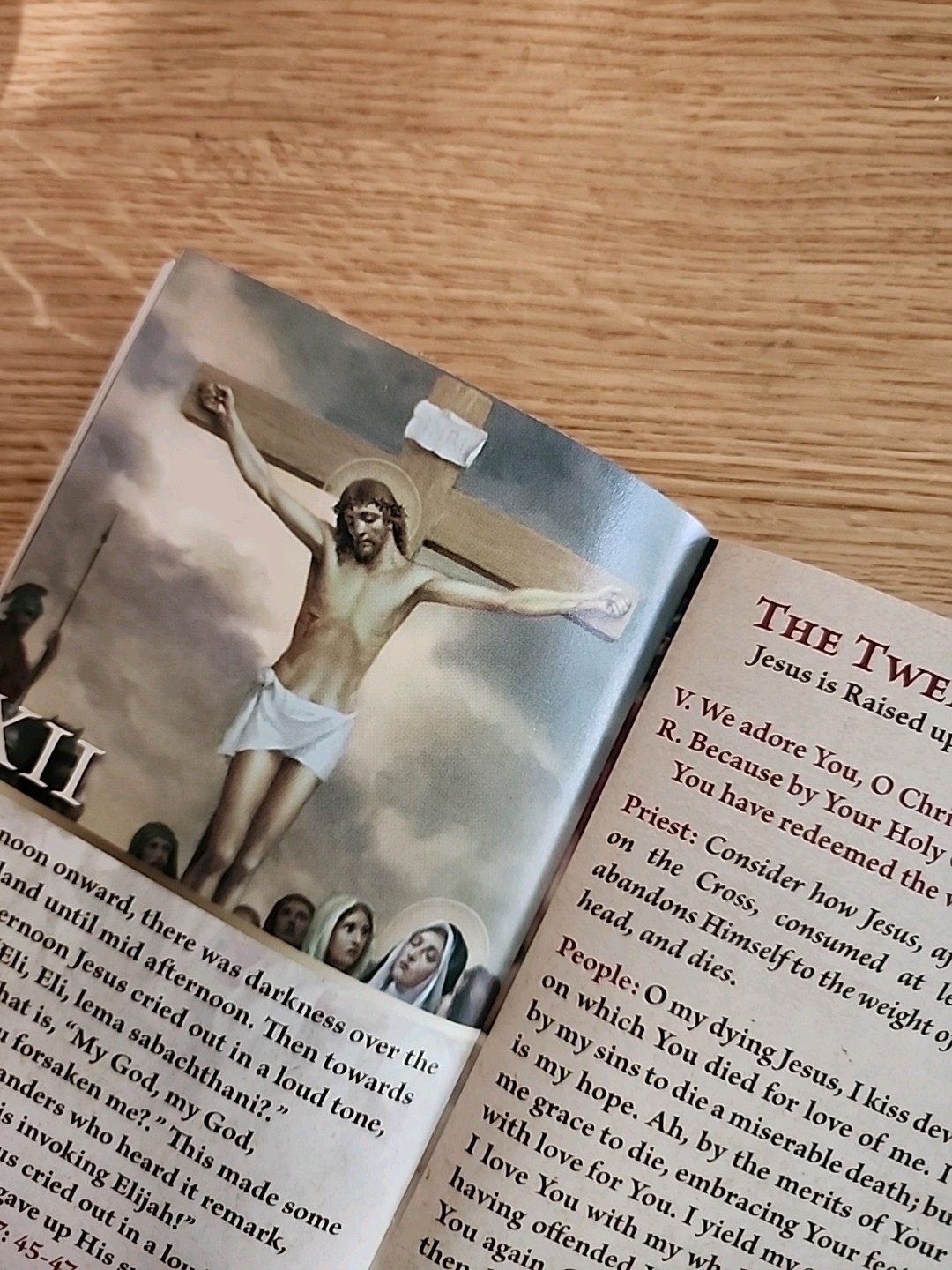 Stations of the Cross Booklet Saint Alphonsus Ligouri SC-01**