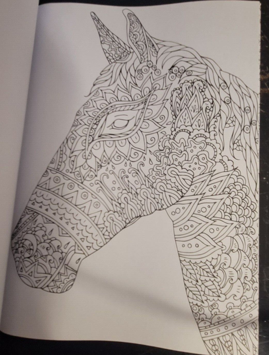 MAJESTIC CREATURES Vol 16 Adult Coloring Book With 47 Prints Ready To Frame