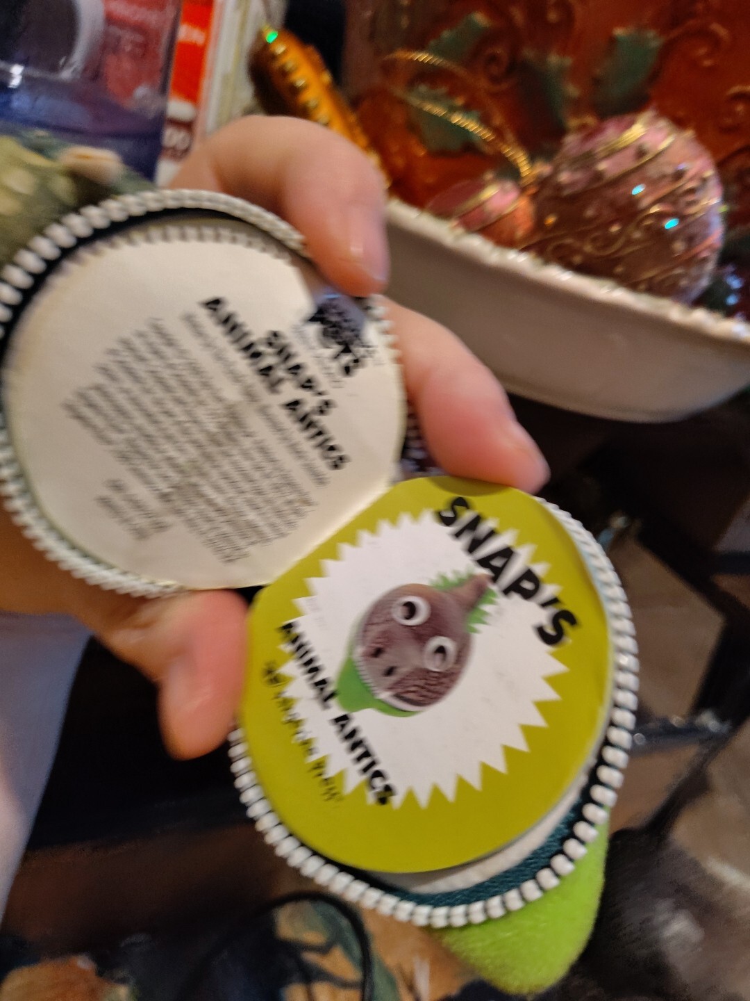 Vintage Teacher’s Pet Plush 3″ Keychain with Book in Zippered Pouch Dino Snap
