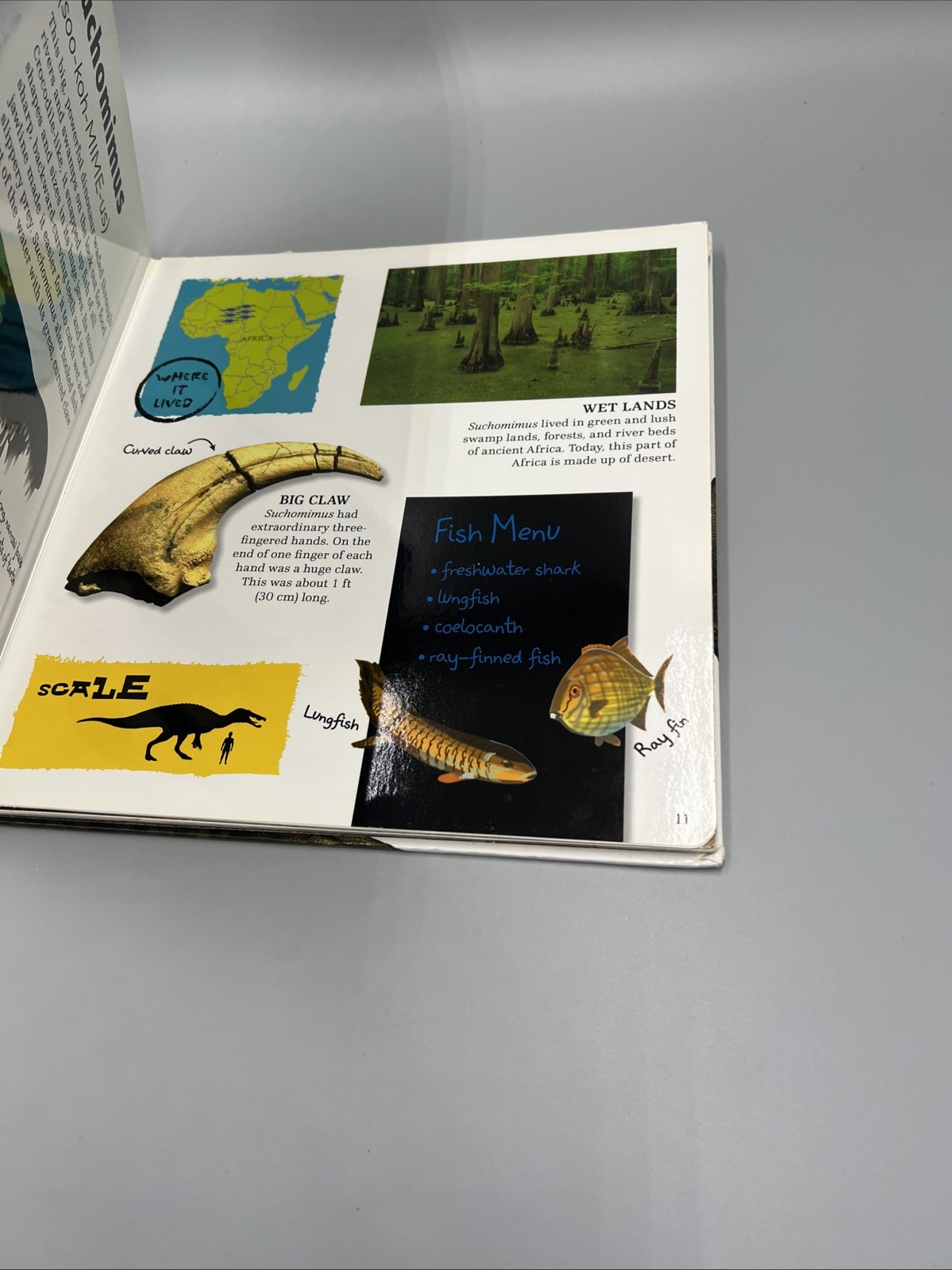 Amazing Giant Dinosaurs by DK (2012, Hardcover), Kids Thick Page Book