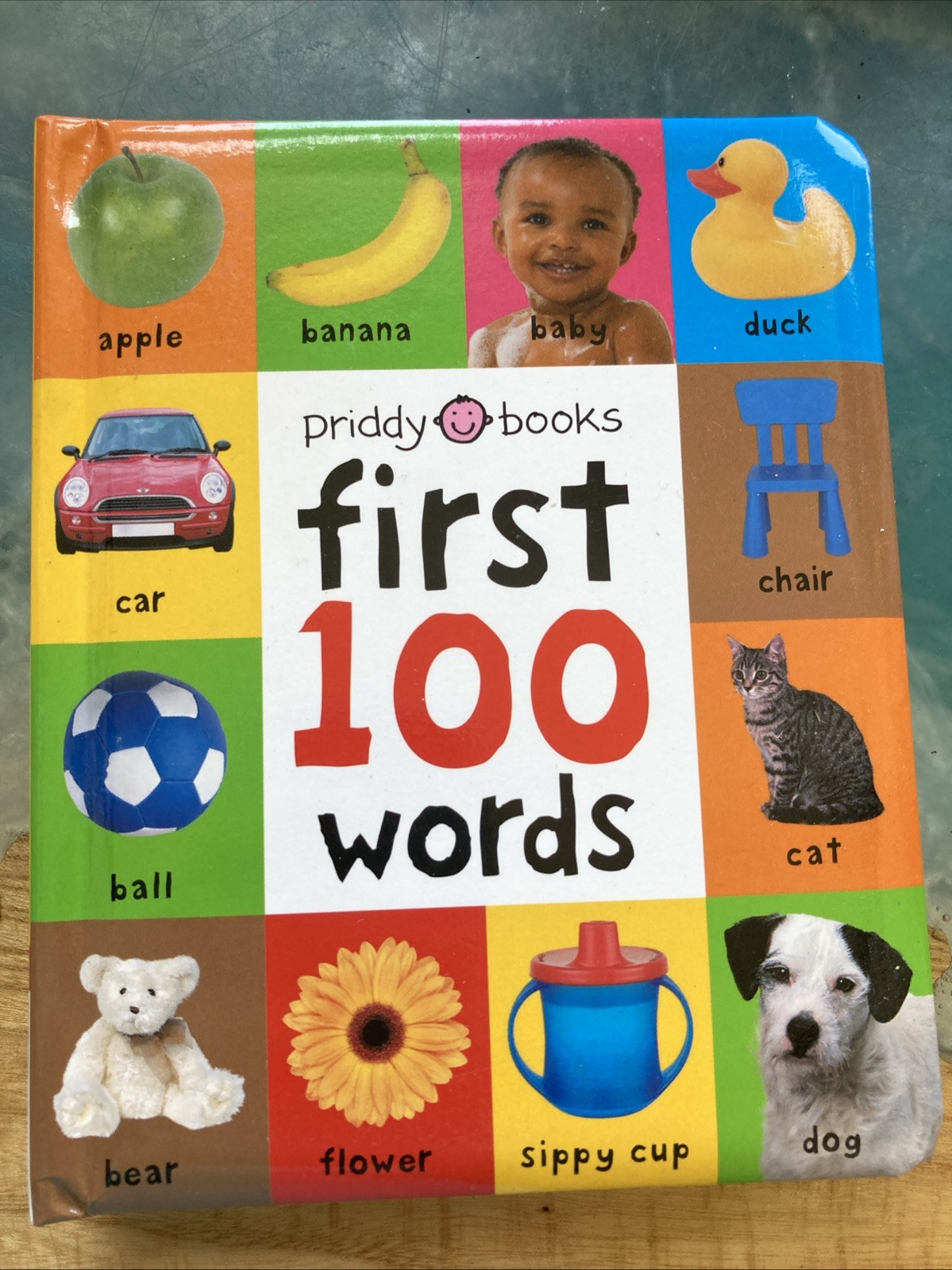 Priddy Books First 100 Words Board Book for Toddlers