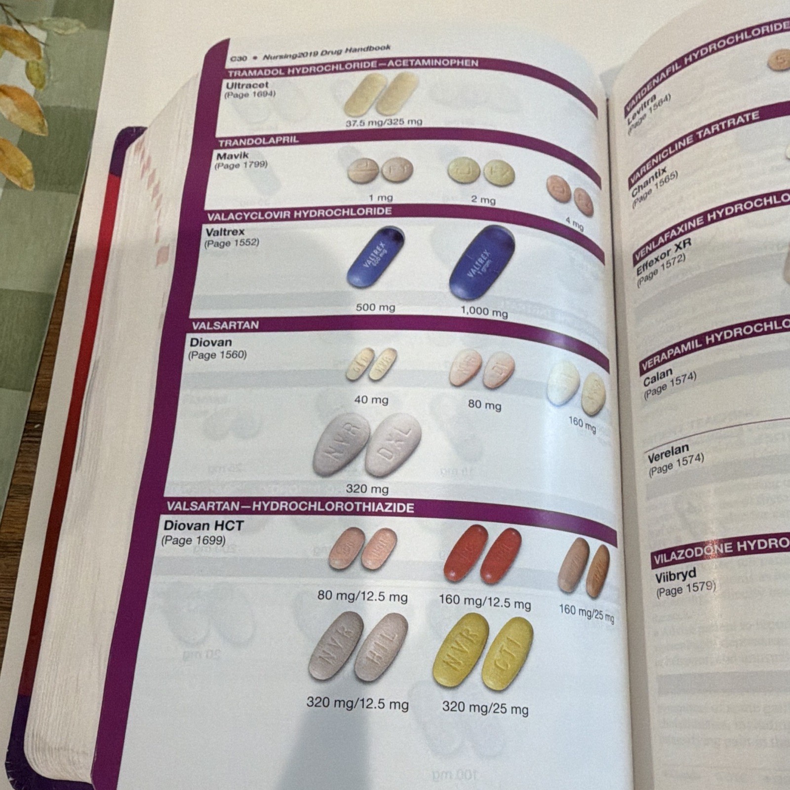 Wolters Kluwer Nursing 2019 Drug Handbook Paperback Illustrated Pharmacology