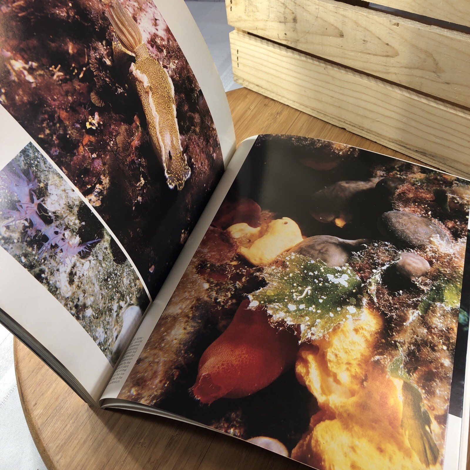 Greece ’91 Greece National Tourist Coffee Table Book 223 Soft cover pages