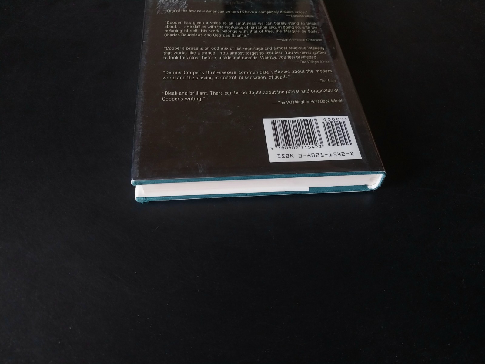 Dennis Cooper – Try – Grove Press First Edition First Printing 1994