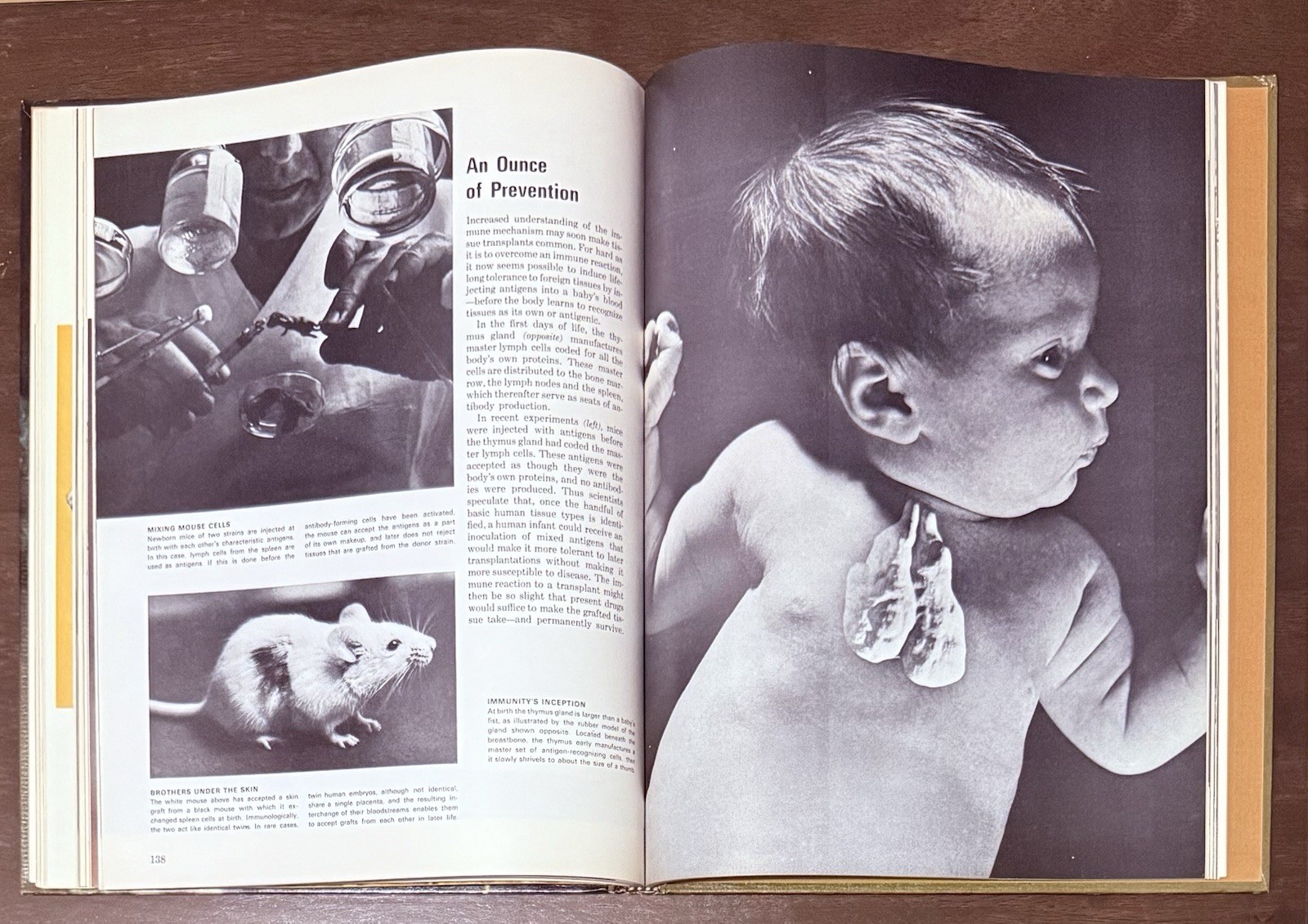 The Body by Alan E. Nourse, Time Life Science Library. Entertaining To Read Look