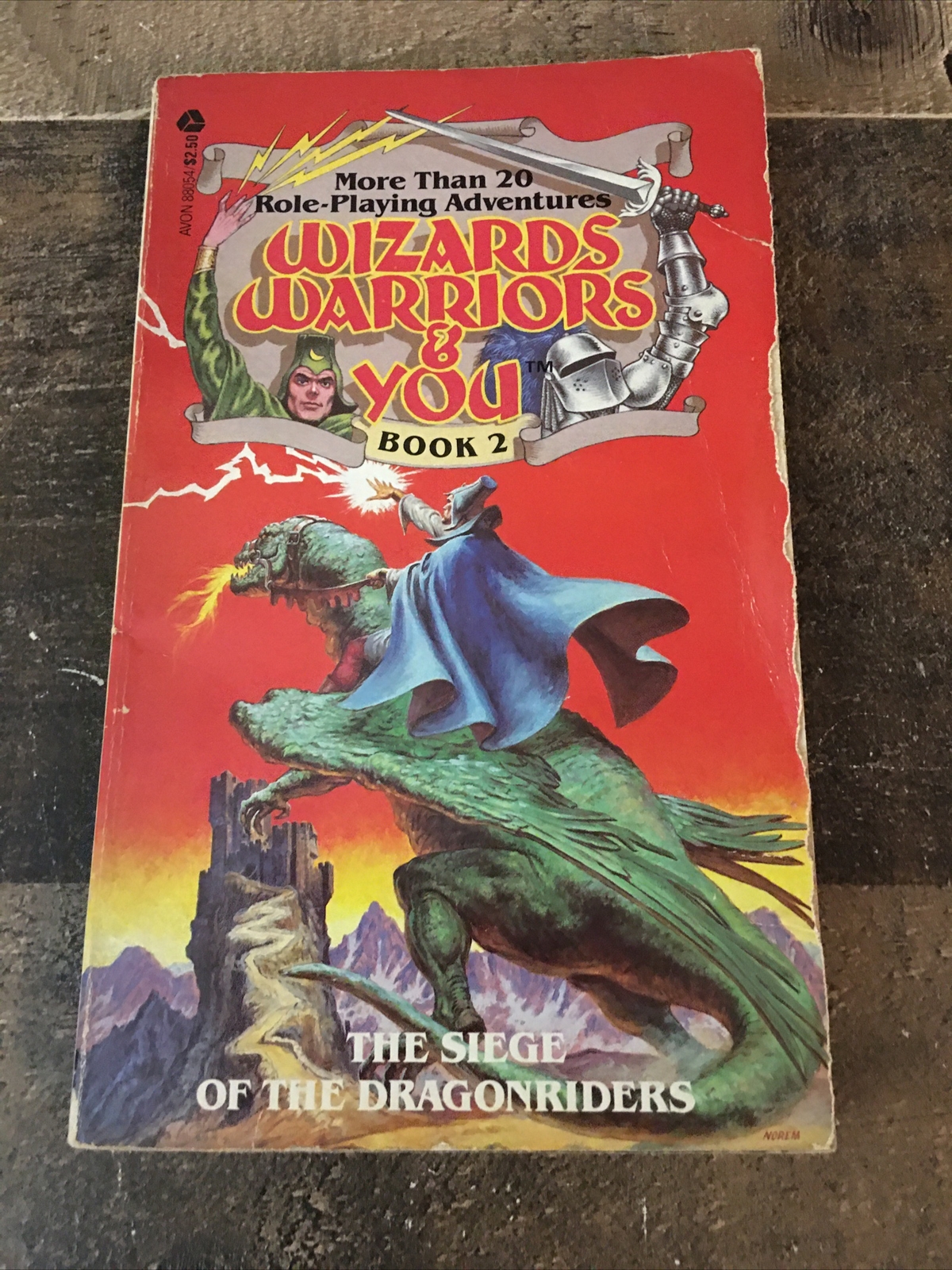 Wizards, Warriors & You #2: The Siege of the DragonRiders CYOA Gamebook 1984