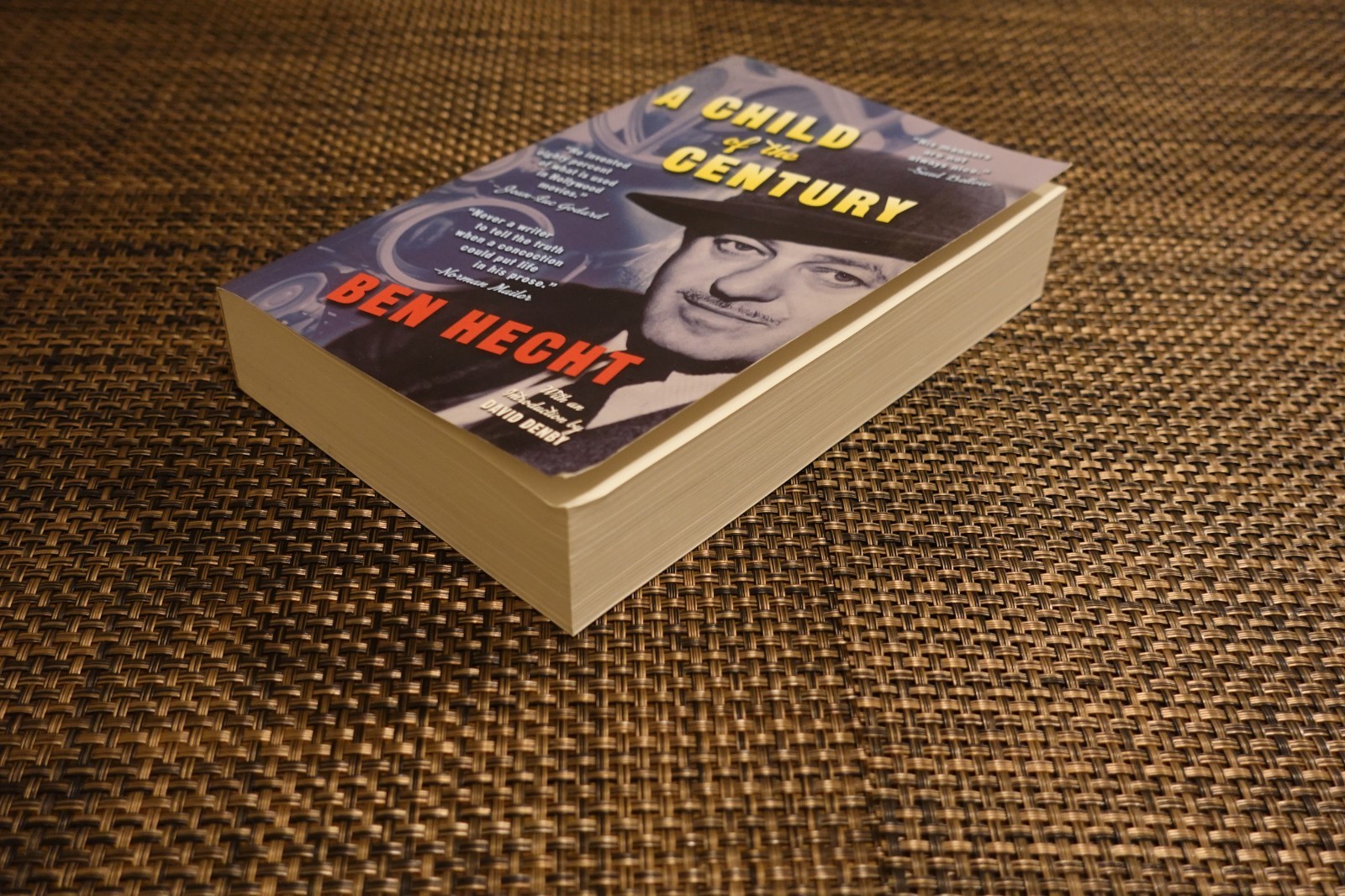 A Child of the Century By Ben Hecht (1954) Paperback Book Reprint From 2020