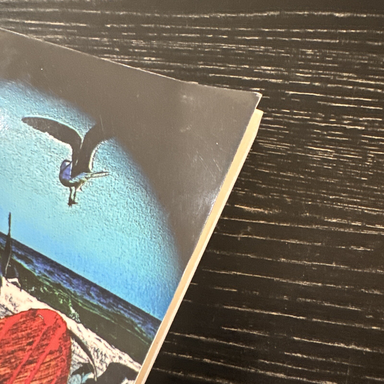 The Artist by Ryan Anderson – Author Signed, 2008 Lulu, PB-260 Pages, PO-VG++