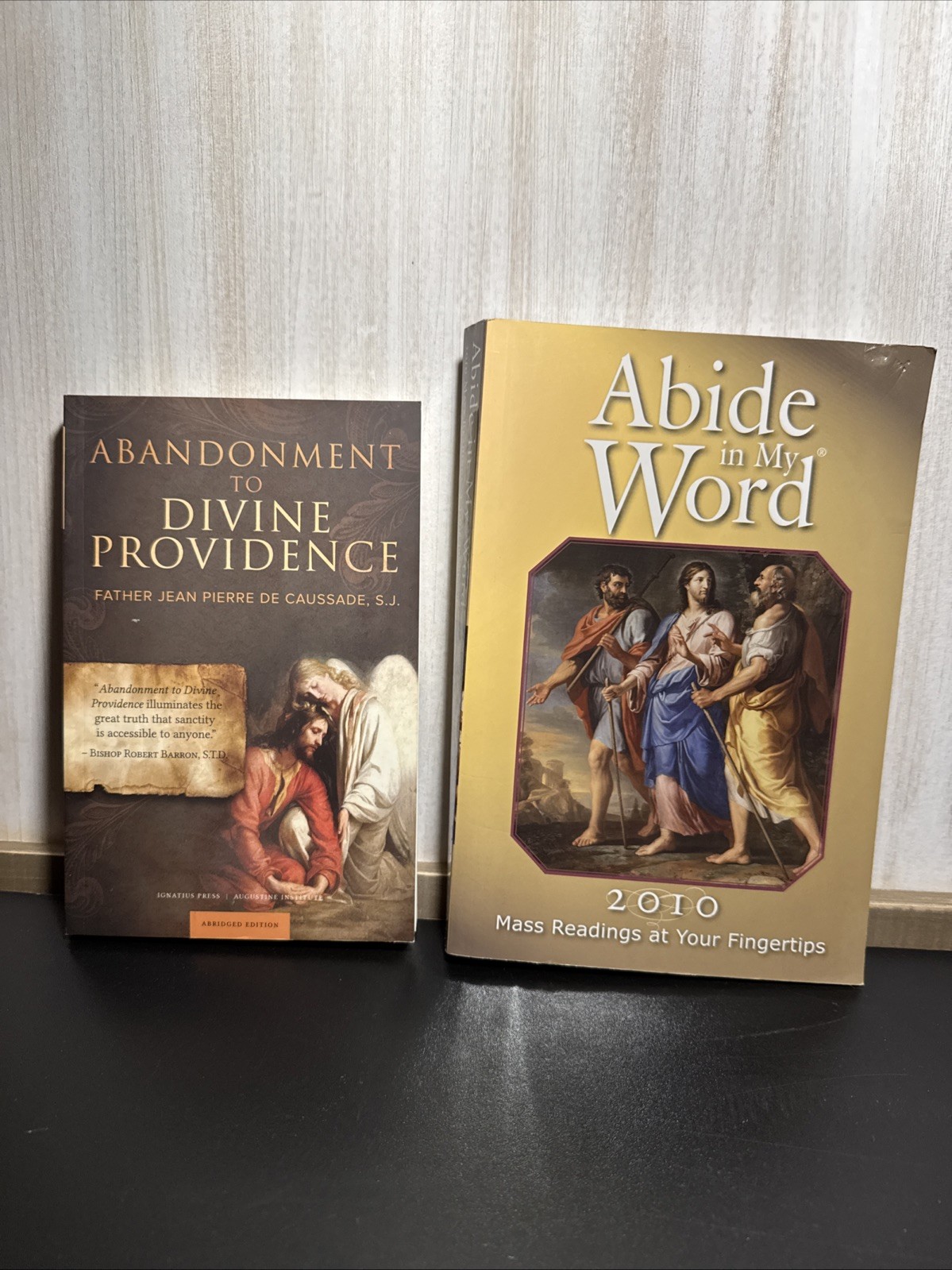 Abide in My Word: 2010 Mass Readings at Your Fingertips & Abandonment To Divine