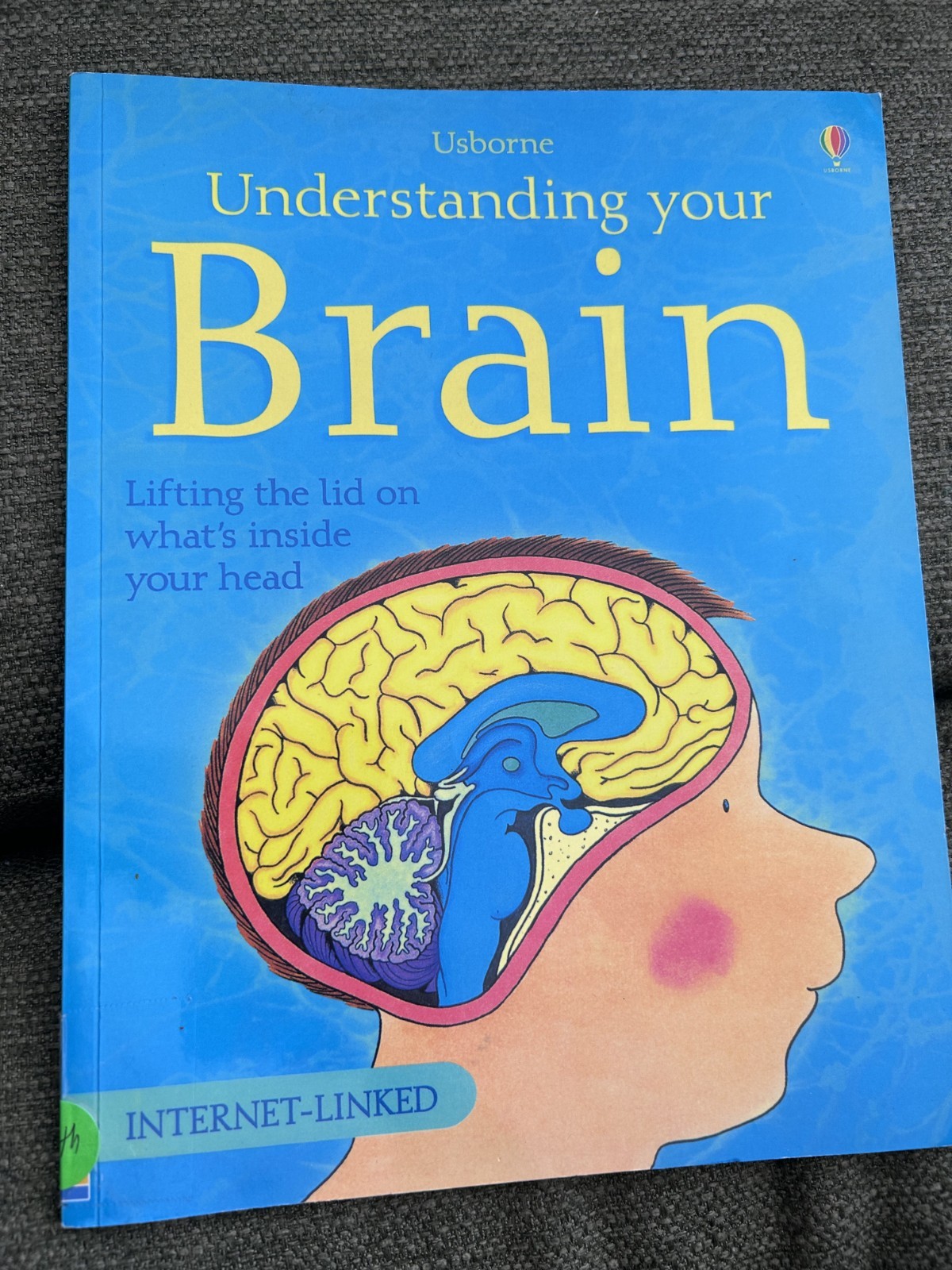 Understanding Your Brain – Internet Linked by Rebecca Treays (2004, Trade…