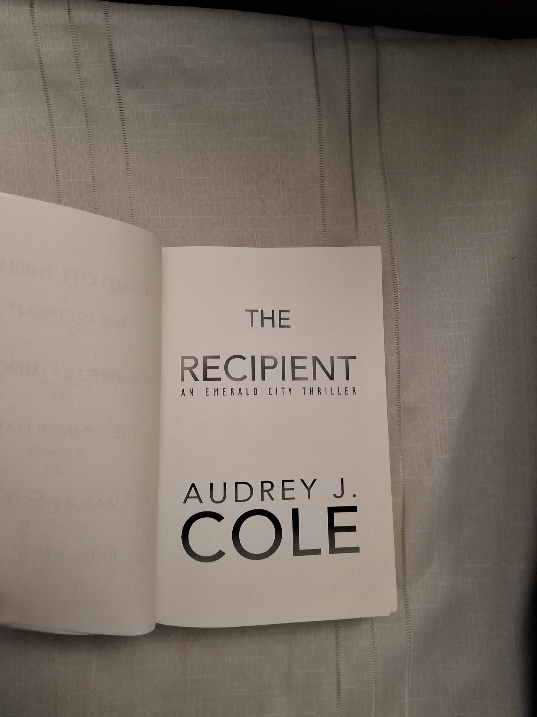 Emerald City Thrillers: Books 1-5 by Audrey J. Cole Paperback Book
