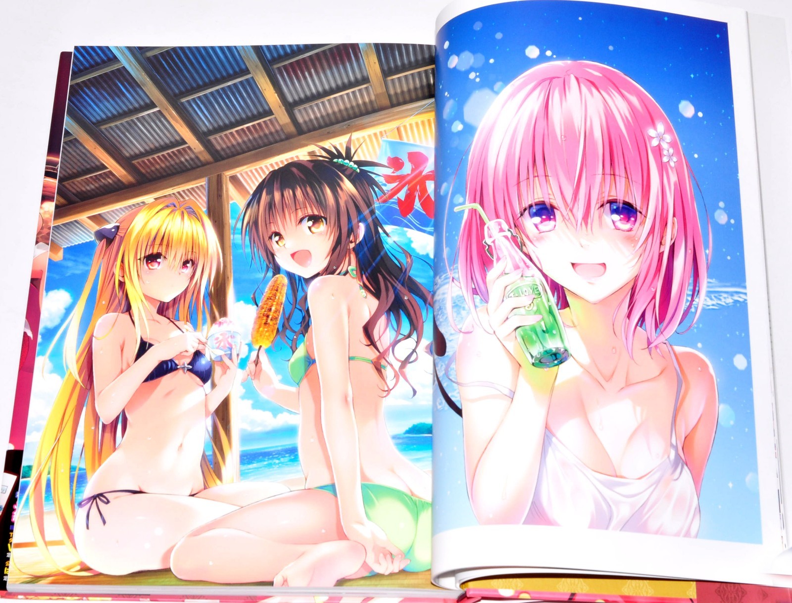 To Love-Ru Darkness Harem Gold Art Book Illustrations + Case 10th anniversary JP