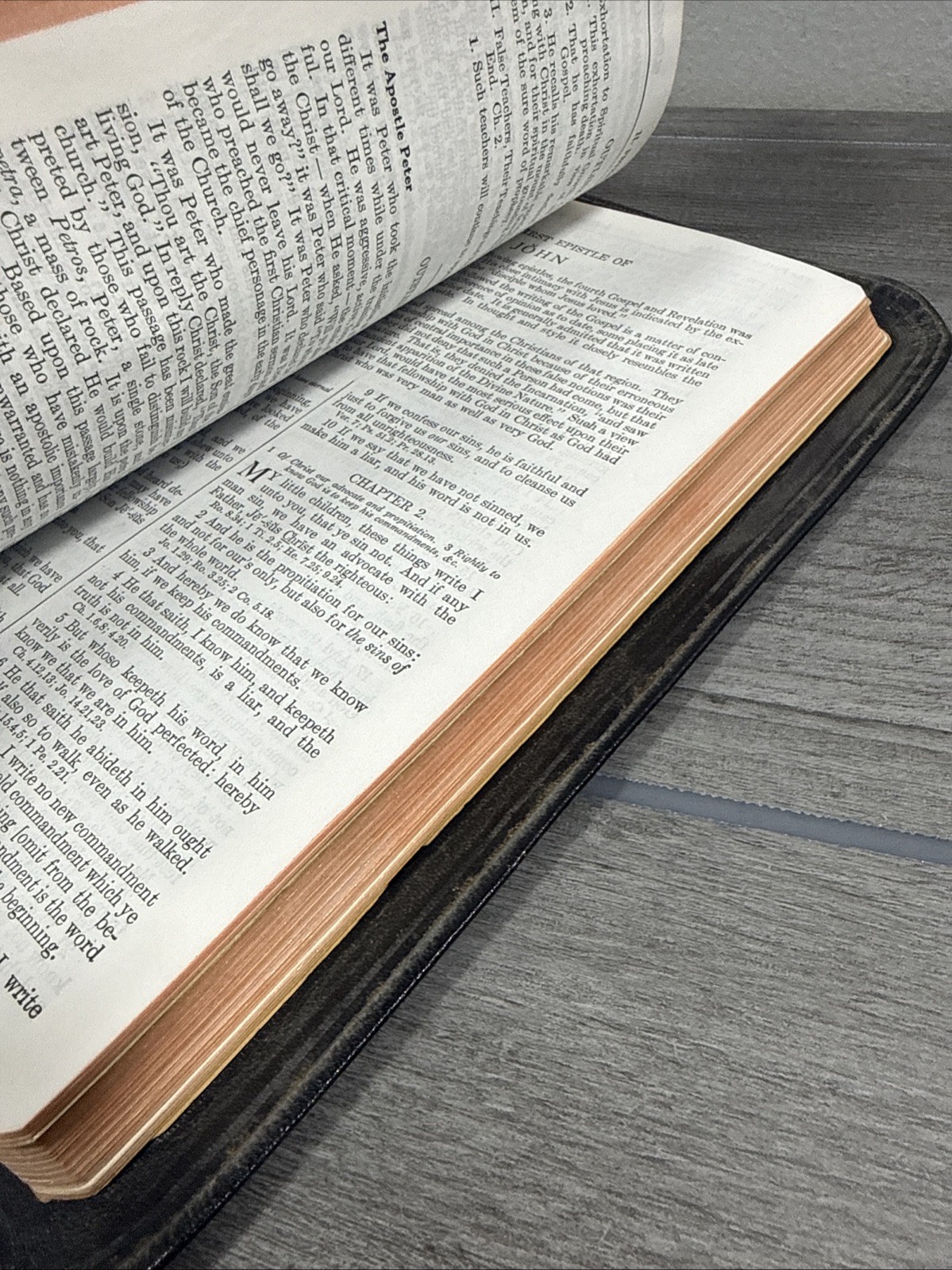 Holy Bible New Analytical Indexed Edition MOROCCO LEATHER Concordance Dickson