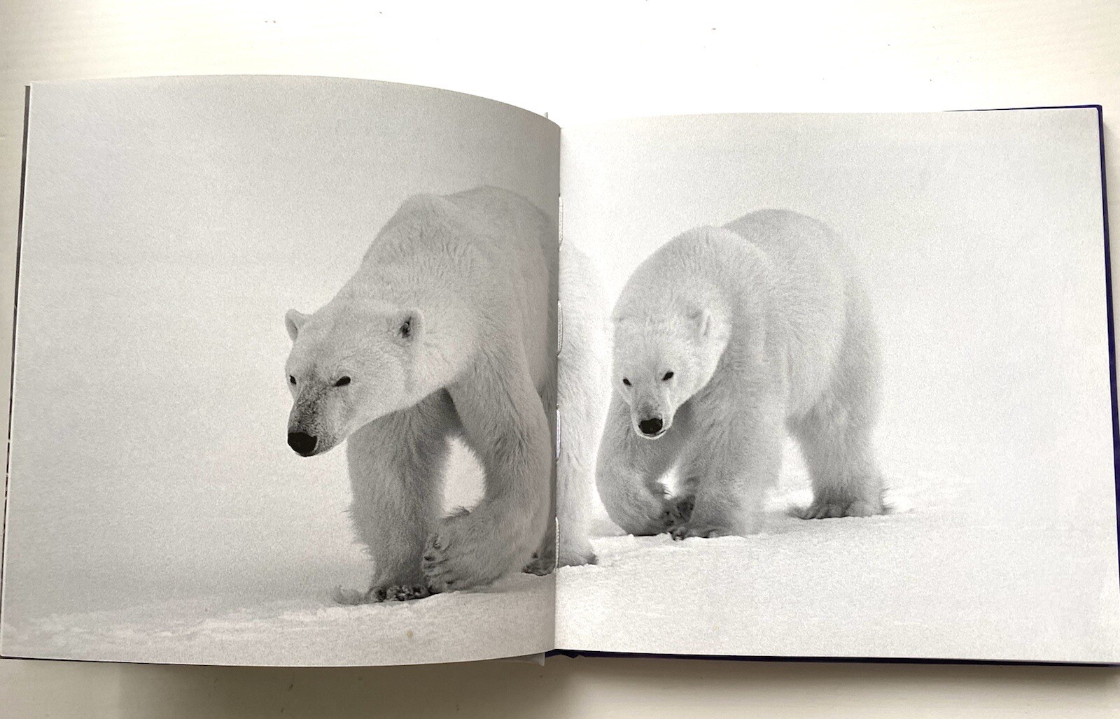 Book” Yo Bro!: My Brother, My Friend” by Tom Burns size 6.5×6.5in.
