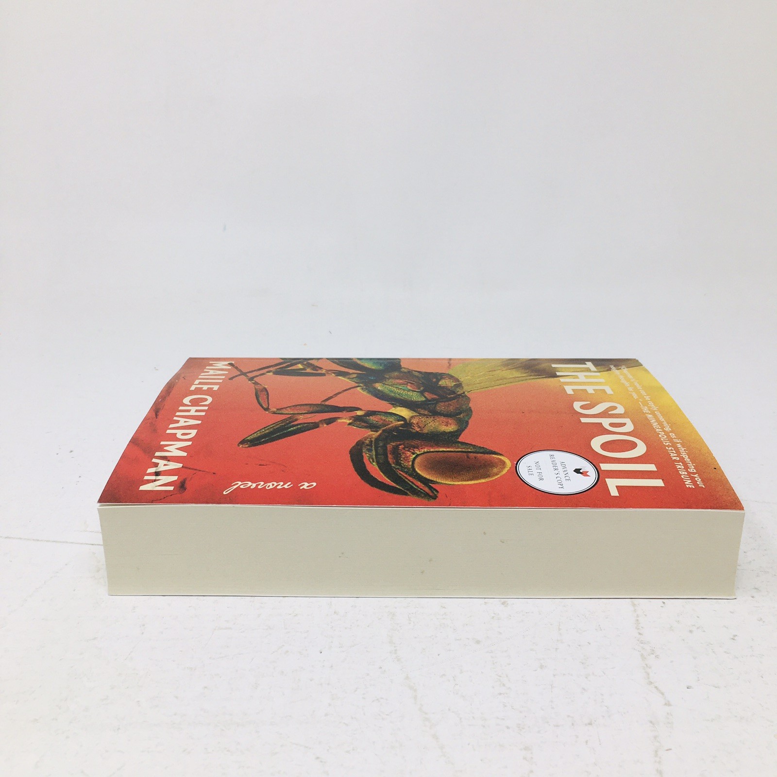 The Spoil ARC by Maile Chapman Psychological Family Drama Mystery Novel Proof