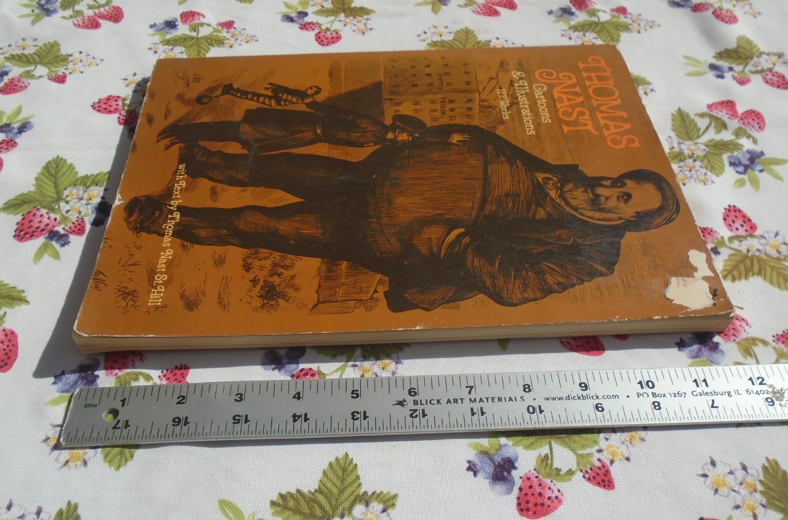 Thomas Nast: Cartoons and Illustrations By Thomas Nast Paperback