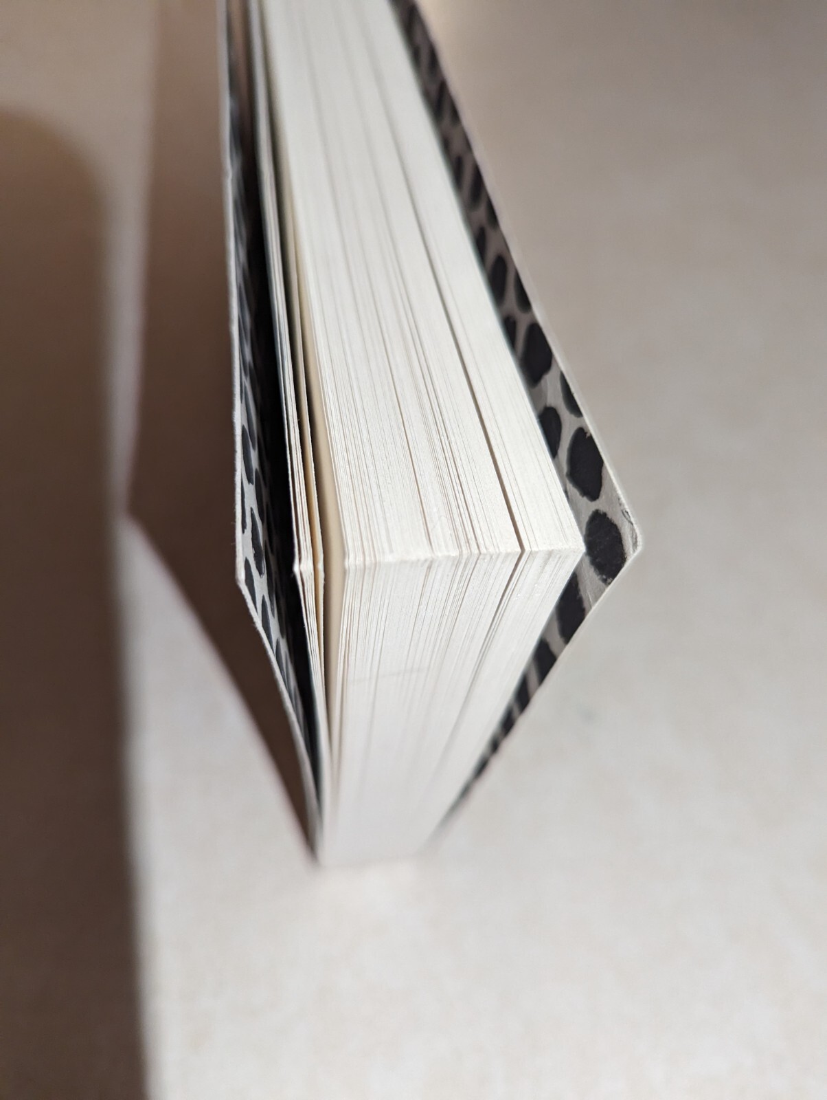 Tree Of Codes Jonathan Safran Foer Book Rare Find 2000s Art Poetry