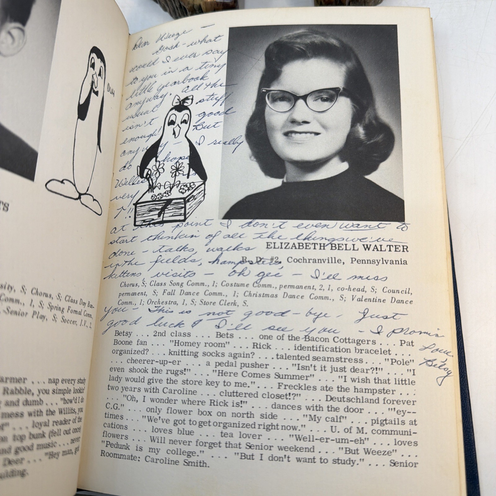 1961 AMICUS Wesley College Yearbook Author Louise Lad Copy (AI142)