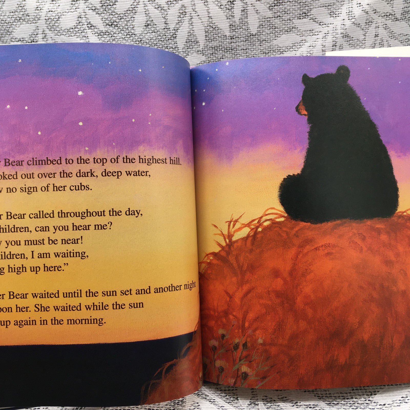 Adventure/ Picture 2 BOOK COMBO The Legend of Sleeping Bear & Crow & Weasel