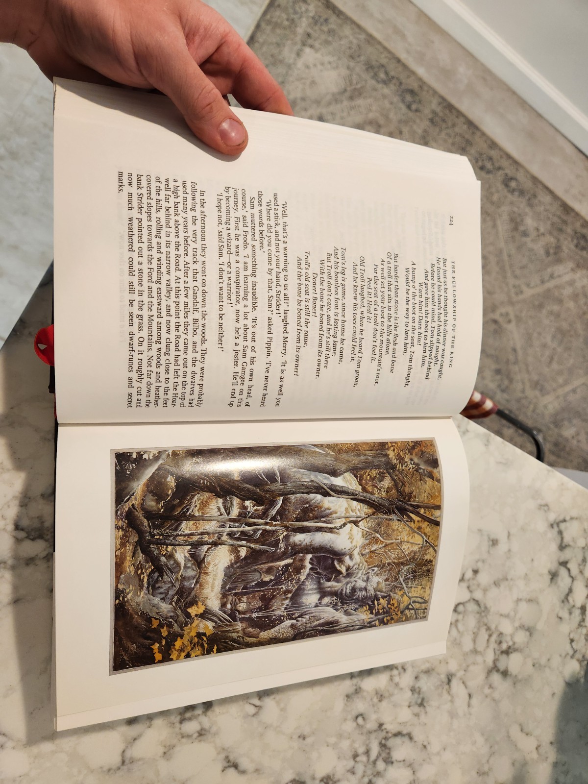 The Lord of the Rings JRR Tolkien Centenary Edition 1993 ALAN LEE Illustrated DJ