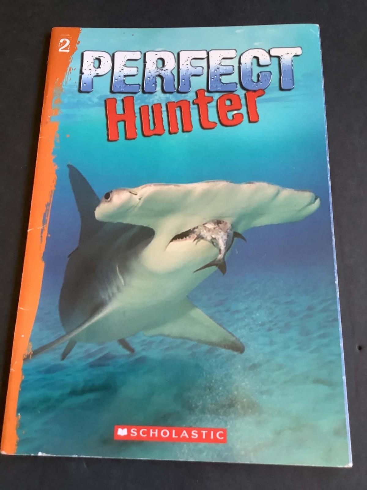 Set of 5 PERFECT HUNTER, SHARK JOURNEYS Books 2 through 6 – For those littles!