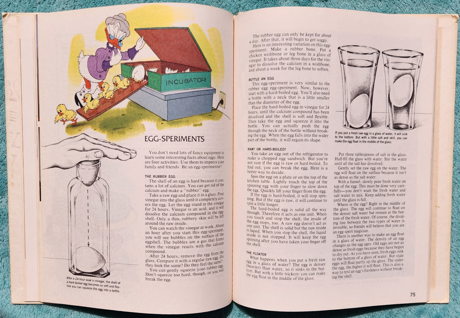 Disney’s Wonderful World Of Knowledge 1983 Yearbook Hardcover 125 Pages
