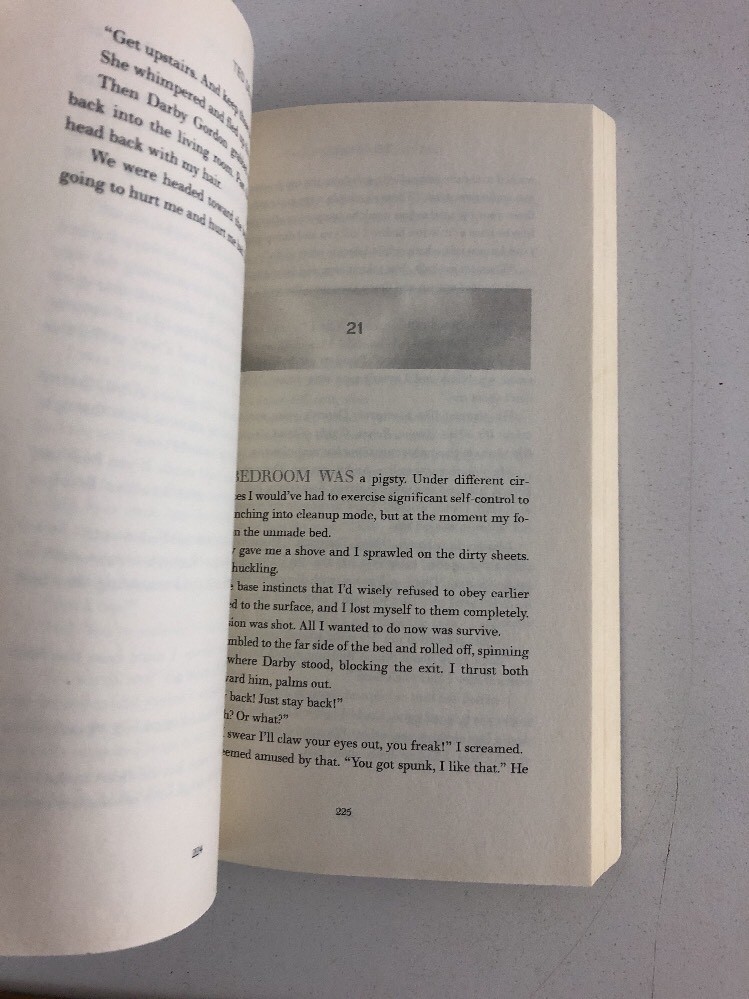 The Priest’s Graveyard – Ted Dekker (2011, Paperback)