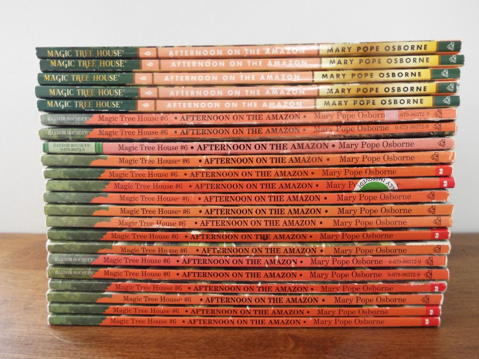 Lot 22 Magic Tree House Guided Reading #6 Afternoon on the Amazon Books