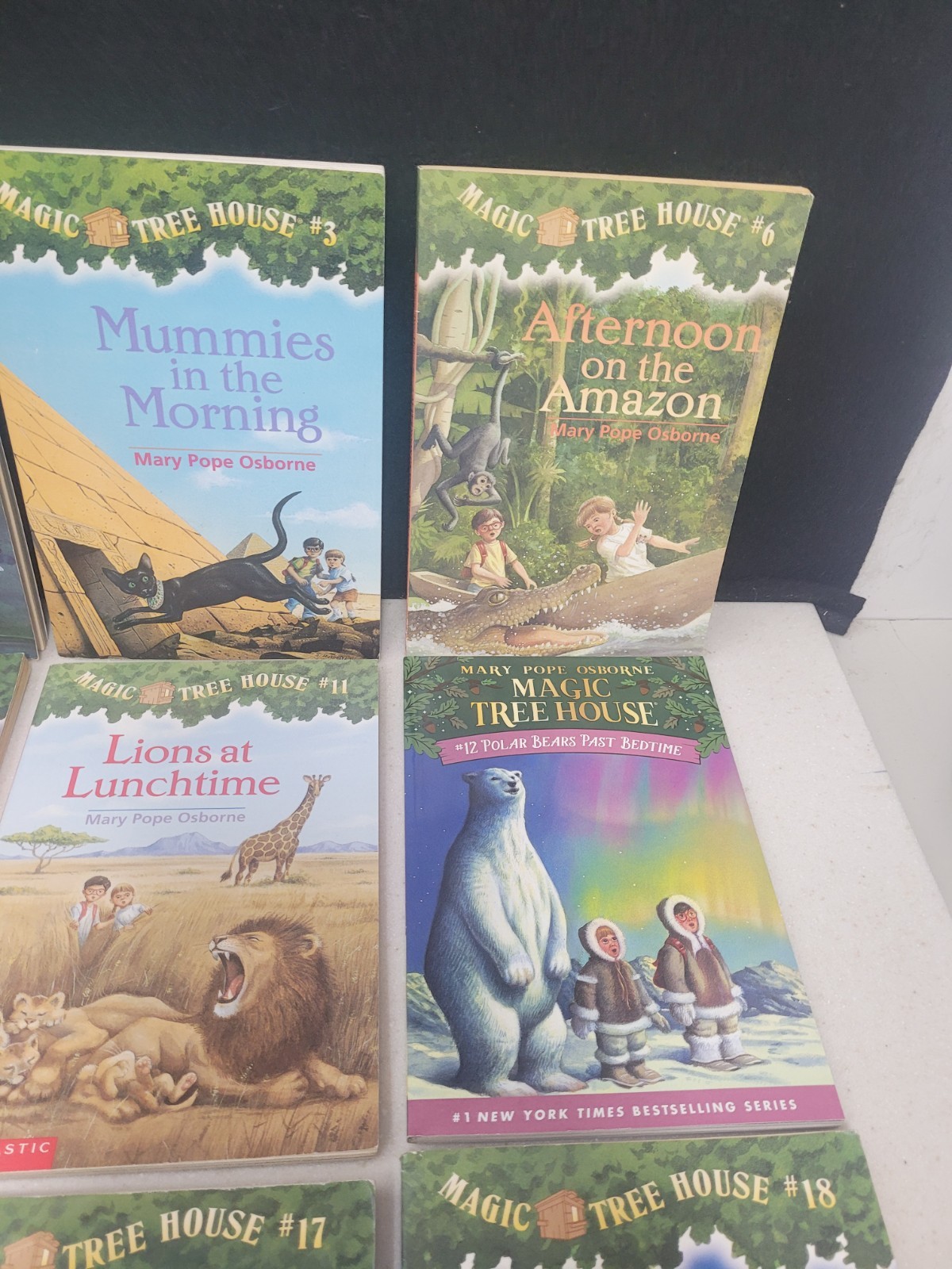 Magic Tree House Paperback Lot of 16 #1,2,3,6,8,9,11,12,13,15,17,18,23,24,48 +