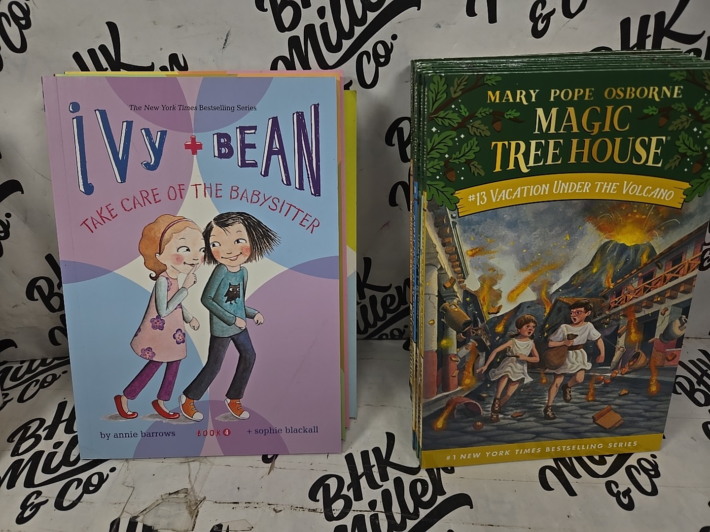 Magic Tree House & Ivy & Bean Chapter Book Lot of 22 Early Reader Books Ages 6-9