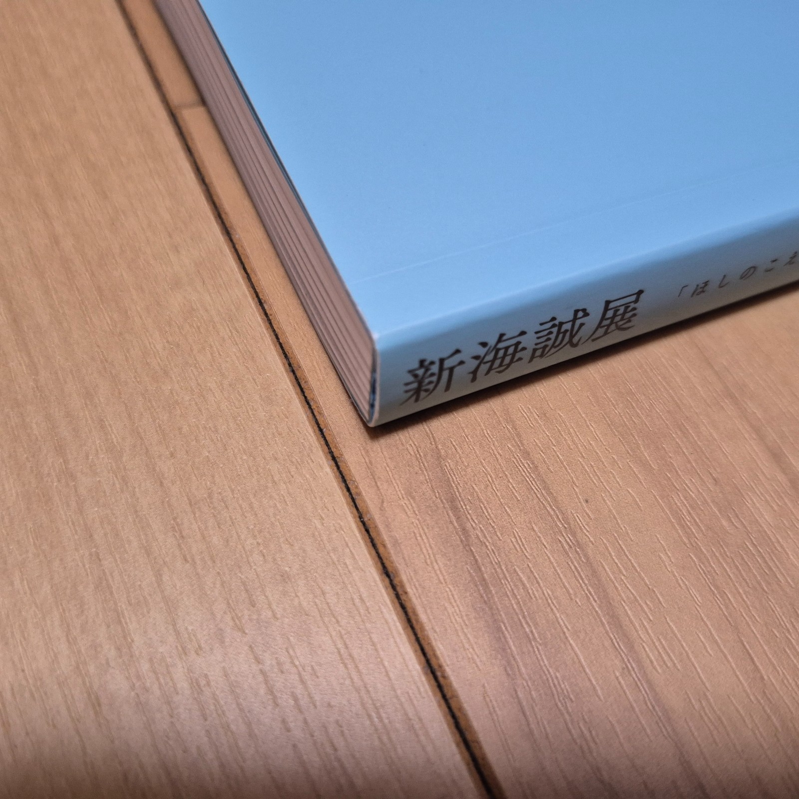 Makoto Shinkai Exhibition – Animation Production Feature Book Shinkai Makoto