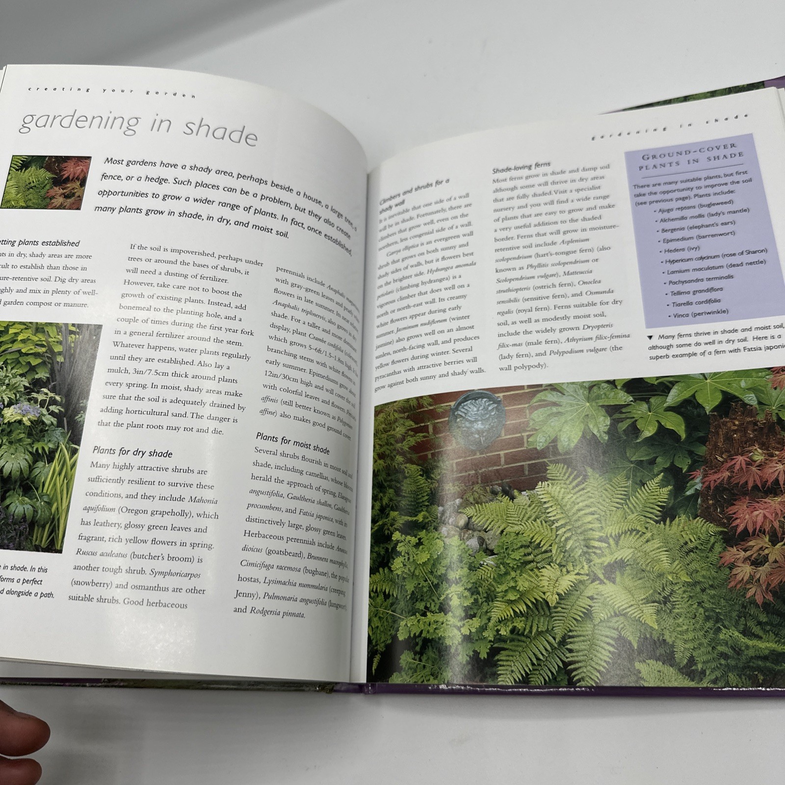 Small Gardens by David Squire (2004, Hardcover Dust Jacket)