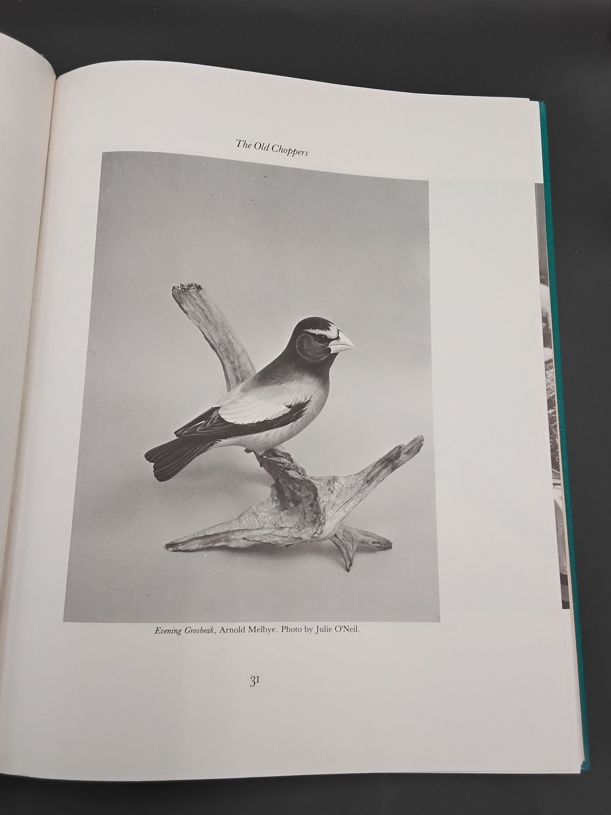 MASTERS OF DECORATIVE BIRD CARVING By Anne Small – Hardcover 1981