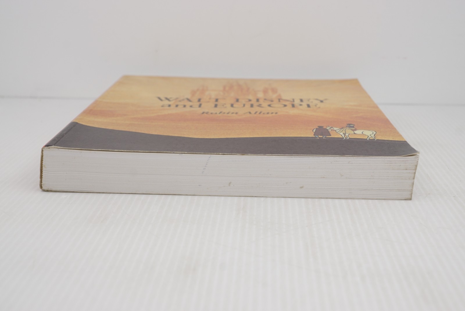 Walt Disney and Europe by Robin Allen 1999 SC First Printing Indiana Univ Press