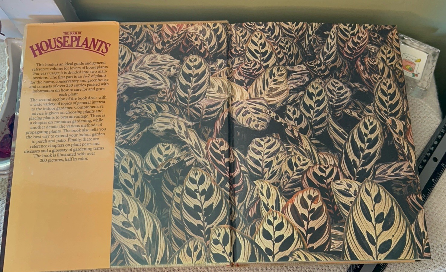 Vintage 1970s Book “The Book of Houseplants” By David Squire and Peter McHoy