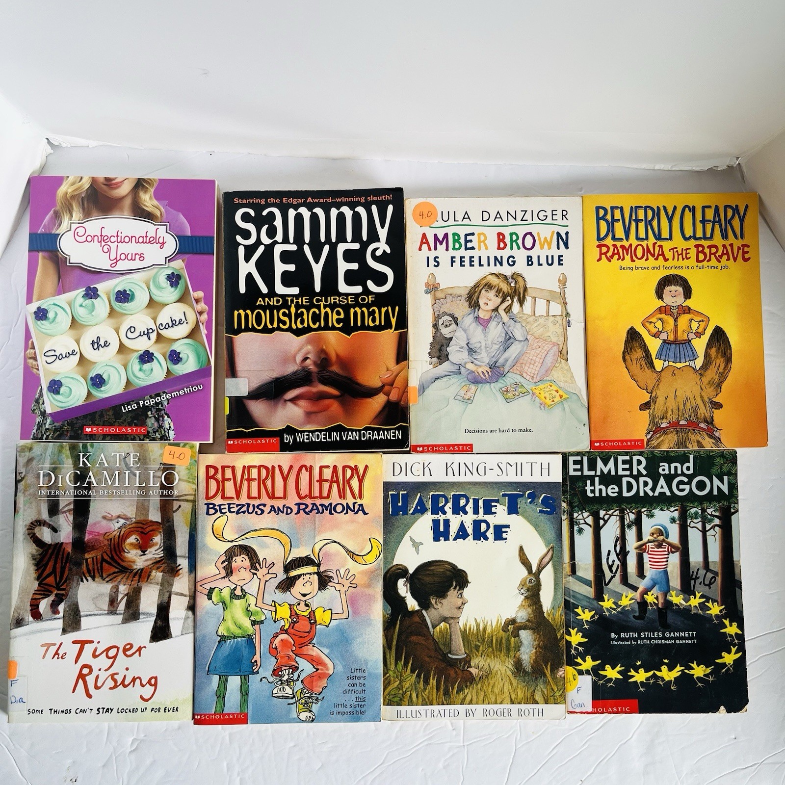 Lot of 10 Random 4th grade Children’s Kids Chapter Book Some series Elementary
