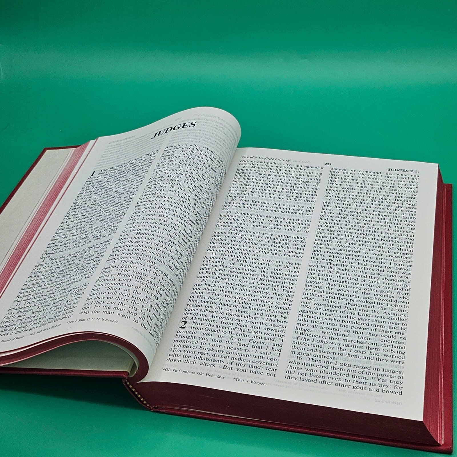 Holy Bible New Revised Standard Version 1989 Hardcover RED Excellent Condition