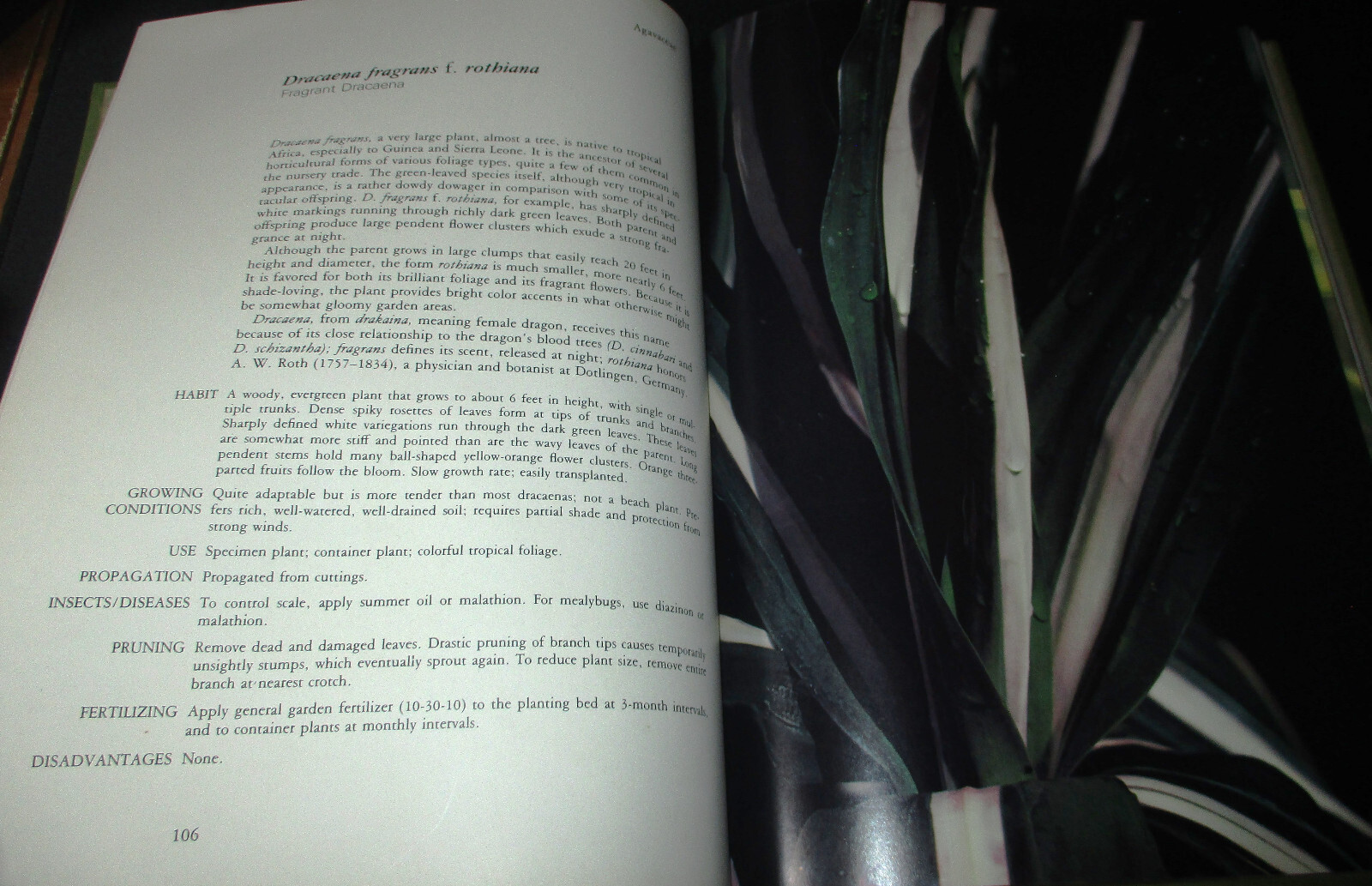 HAWAII GARDEN TROPICAL EXOTICS Horace Clay SIGNED HC 1ST 1977 Gardening Plants