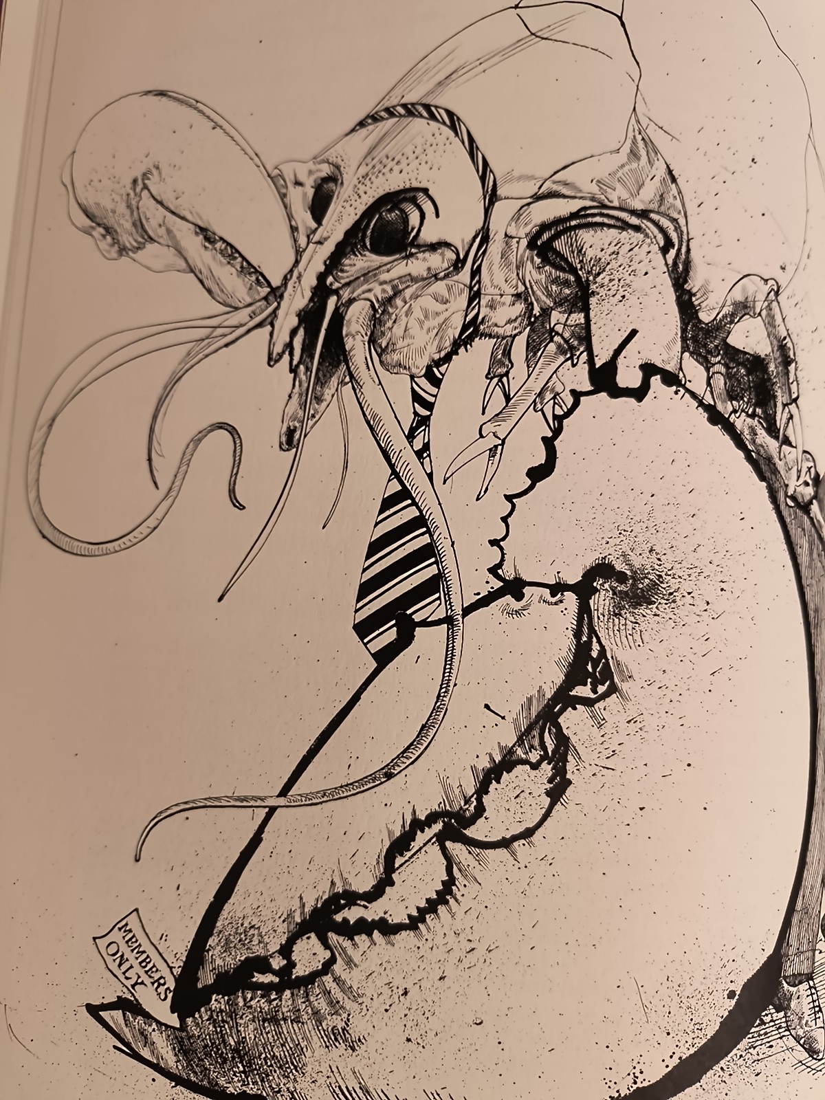 Alice In Wonderland By Lewis Carroll & Ralph Steadman *Ex Libris see description