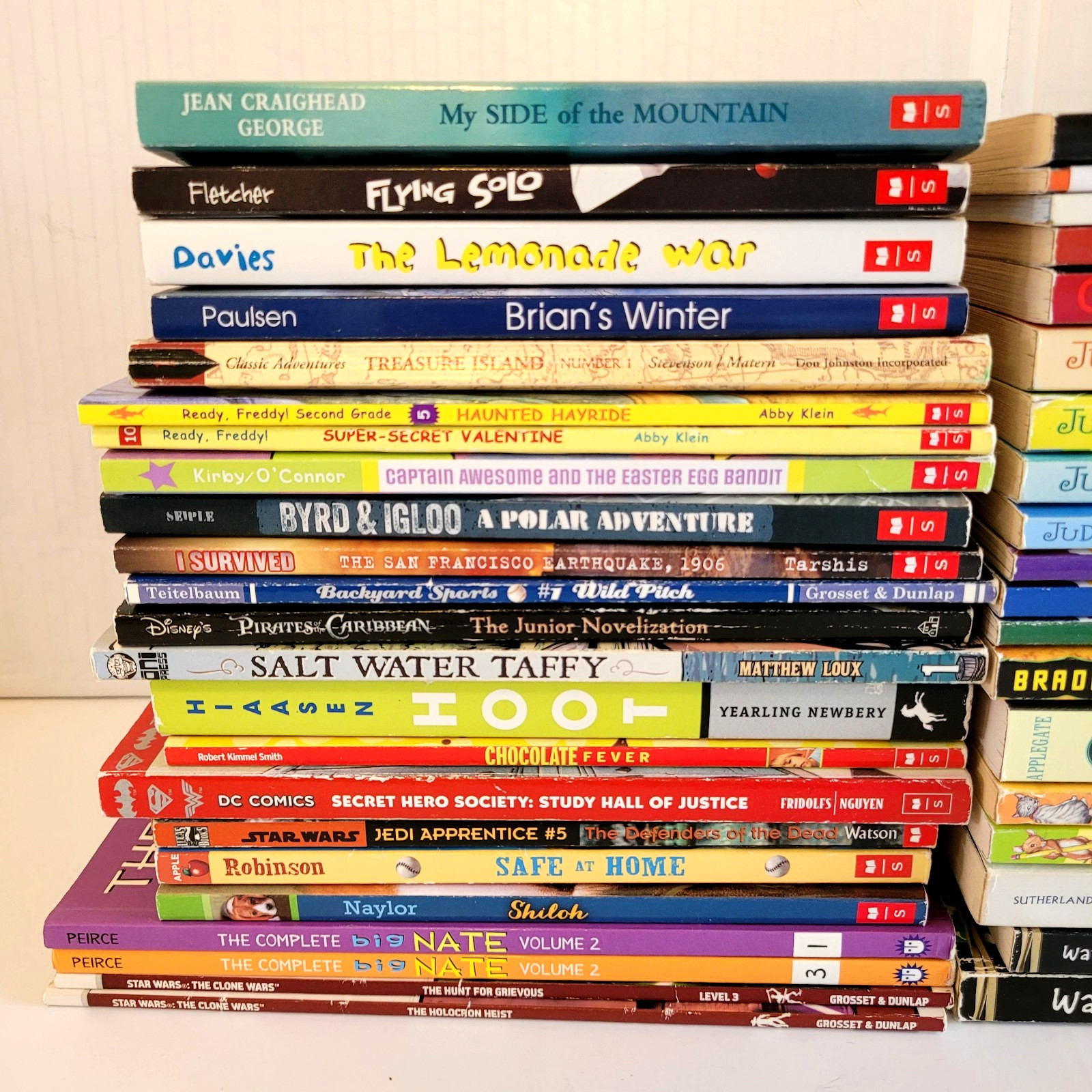 Boys 3rd/4th/5th/6th Grade Chapter Books Lot of 42 Homeschool PB Scholastic