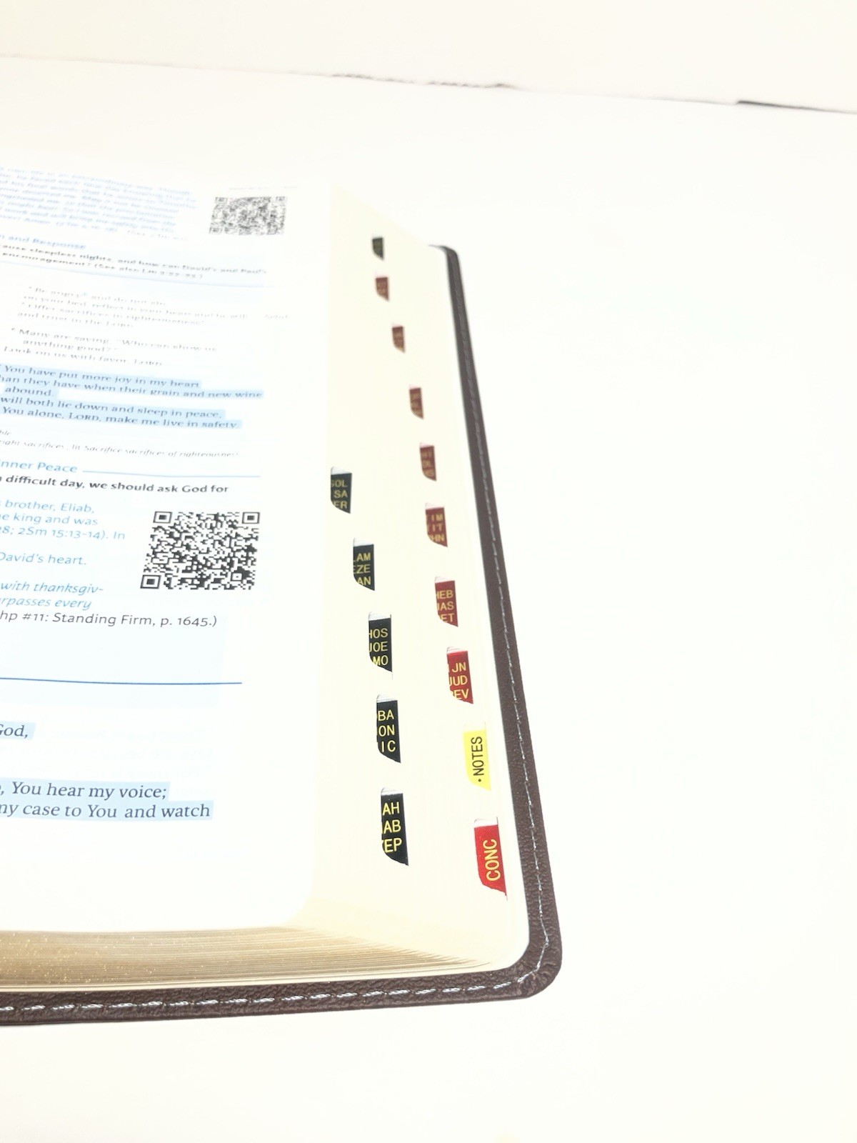 Life Essentials Study Bible, Brown/Blue Simulated Leather Indexed : Biblical…