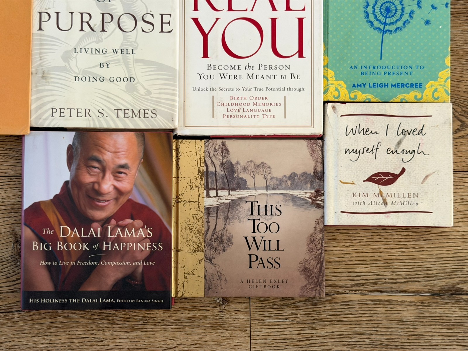 Self Help Book Lot 11 Miracle Morning Dalai Lama Mindfulness Happiness