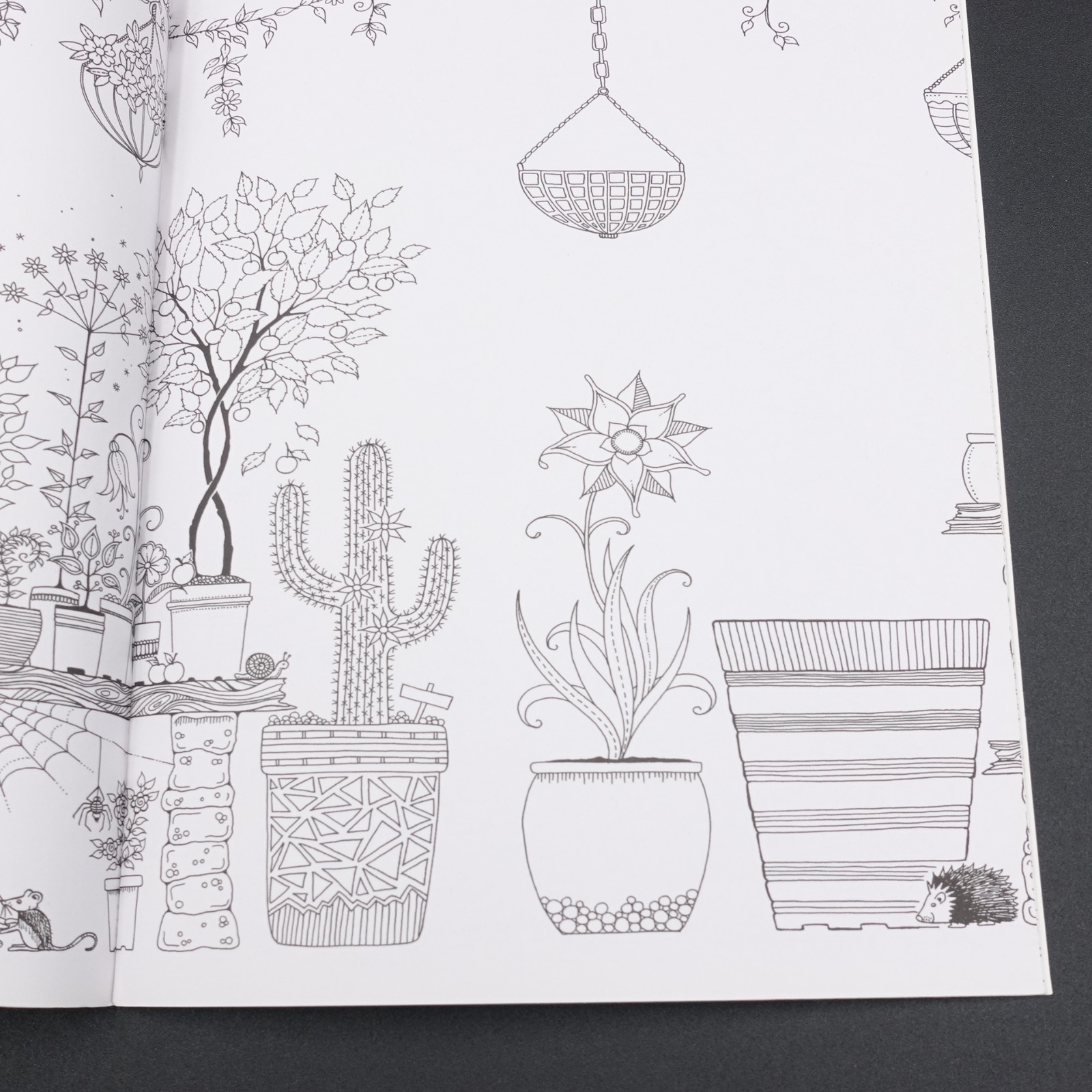 Secret Garden Chinese Edition Coloring Book Paperback 16 Pages Like New
