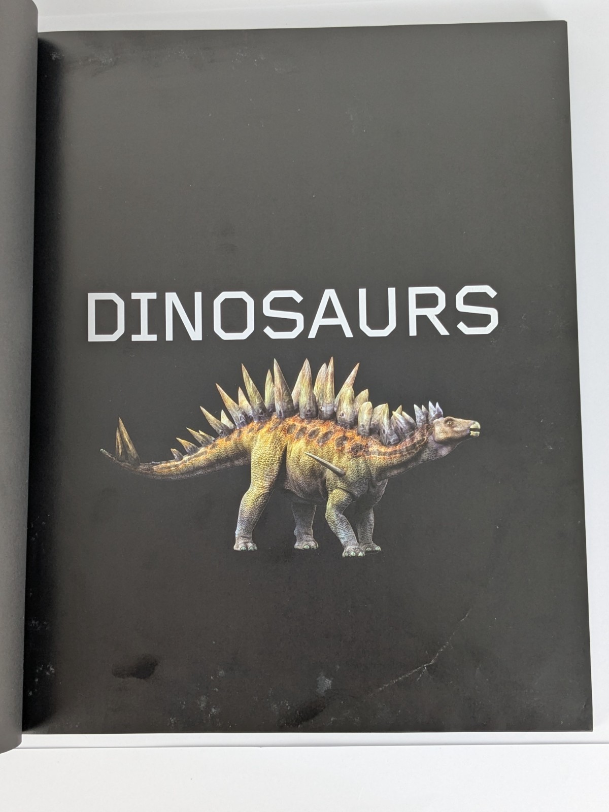 Dinosaurs by Steve Brusatte (Large Hardcover) 2010
