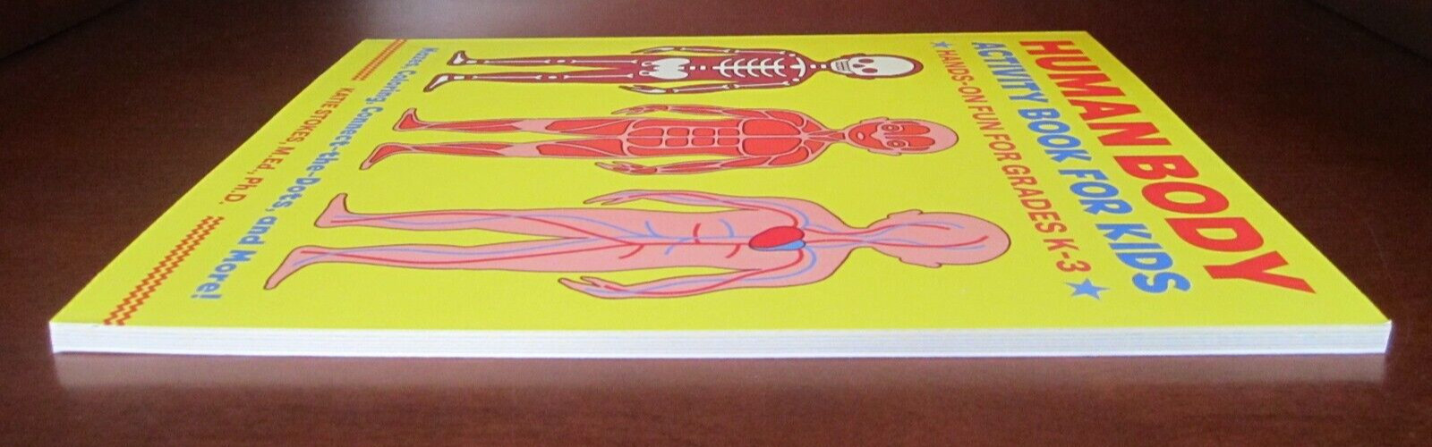 Human Body Activity Book for Kids : Hands-On Fun for Grades K-3 by Katie Stokes
